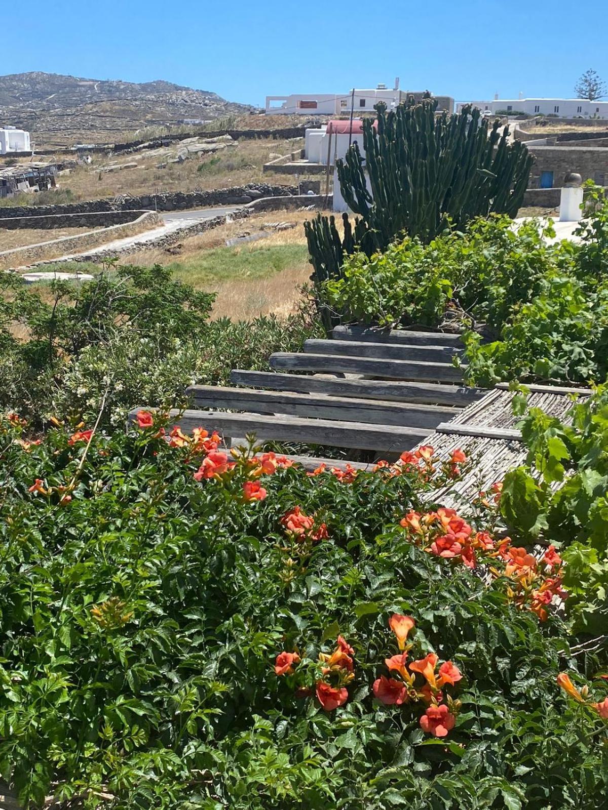 Panormos Village,mykonos